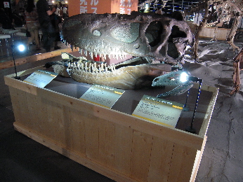 恐竜王国2012_e0033570_9332591.jpg