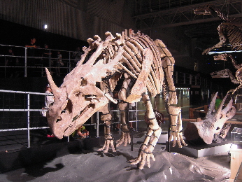 恐竜王国2012_e0033570_9333811.jpg