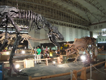 恐竜王国2012_e0033570_9341694.jpg