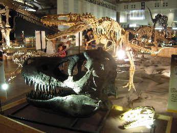 恐竜王国2012_e0033570_934884.jpg