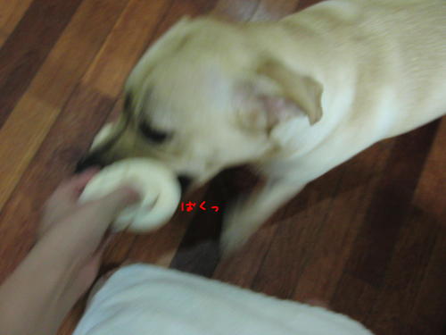 f0189870_16543693.jpg