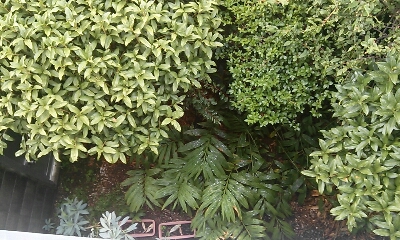 c0184472_2132813.jpg