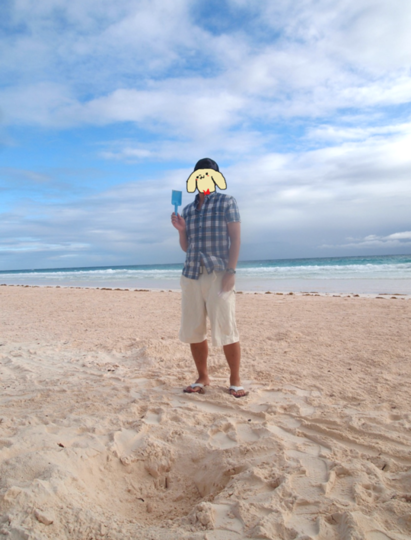 a0280773_1814913.png