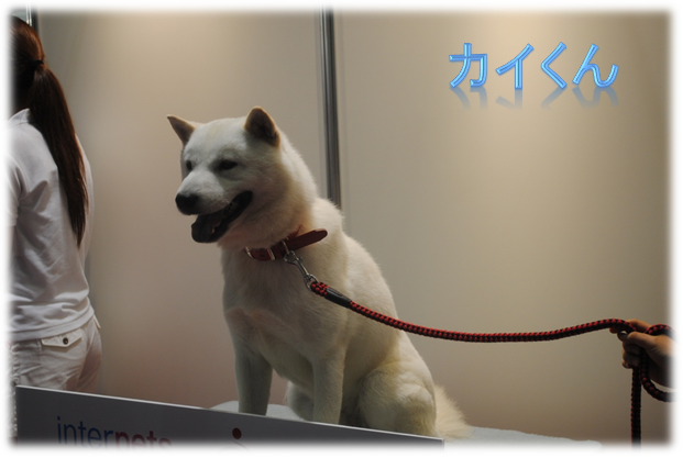 b0242873_1232198.png