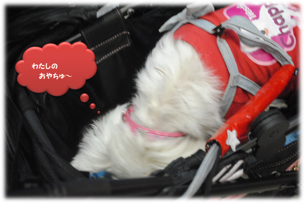 b0242873_1232868.png