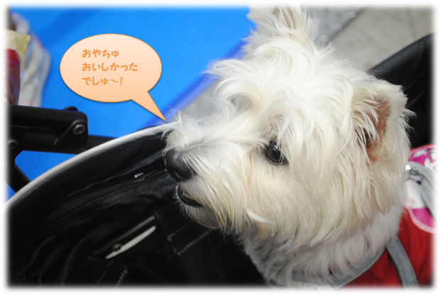 b0242873_123356.png