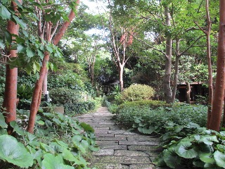 e0254379_10382037.jpg
