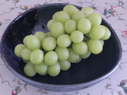 a0125981_18165310.jpg