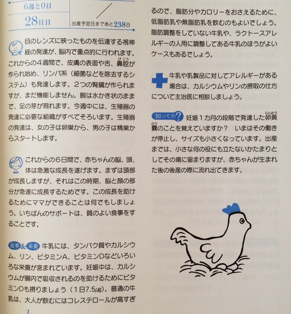 6週0日 心拍確認できず ゆるロビ生活 6週0日 心拍確認できず ゆるロビ生活