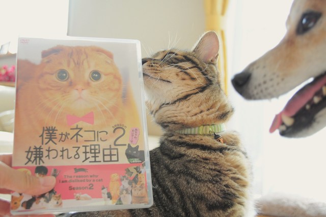 もうすぐです!_a0126590_8301287.jpg
