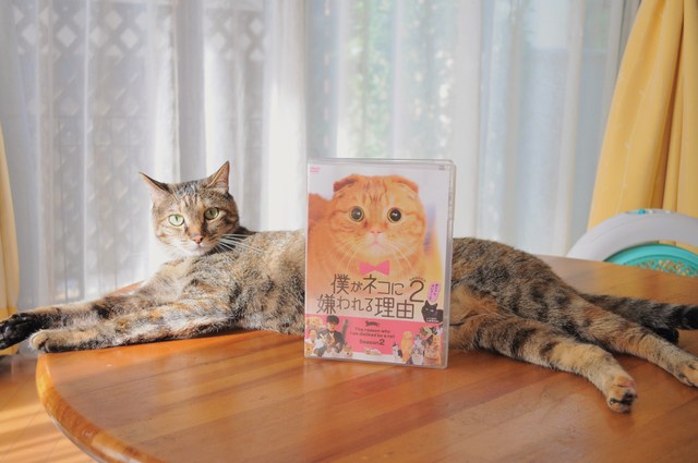 もうすぐです!_a0126590_832295.jpg