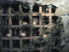 f0008991_1954298.jpg