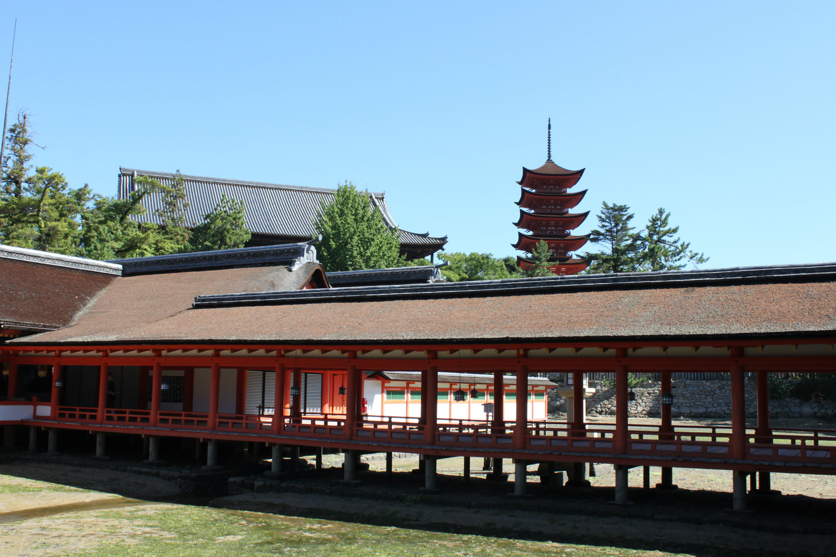 b0177792_16454098.jpg
