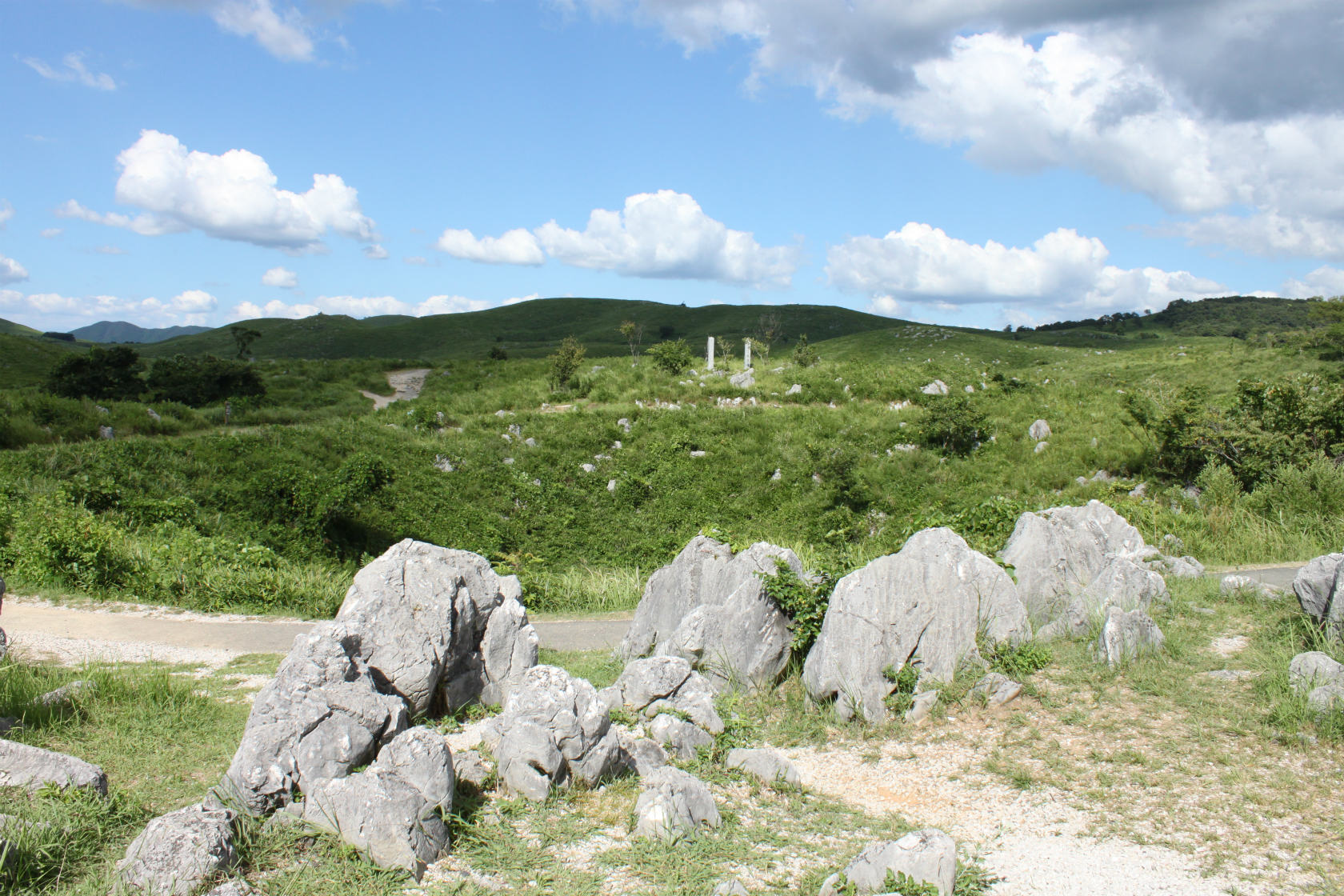 b0177792_1795935.jpg