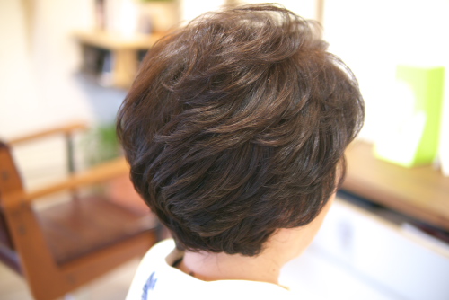 本日のスタイル 適当 Photo Journal Eos 5d Lumix Gh2