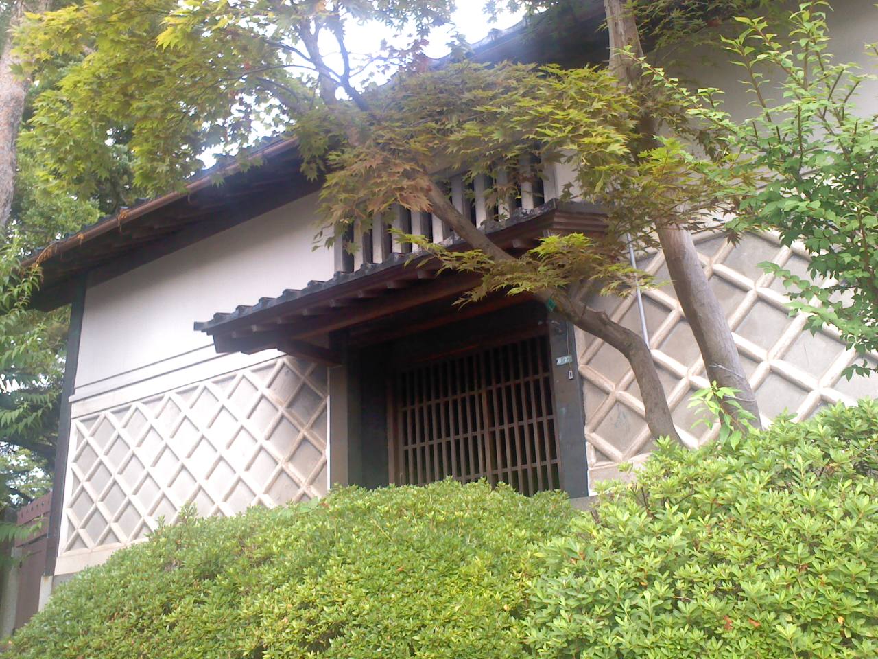 e0178600_1857269.jpg