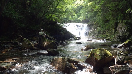 e0127602_1474630.jpg