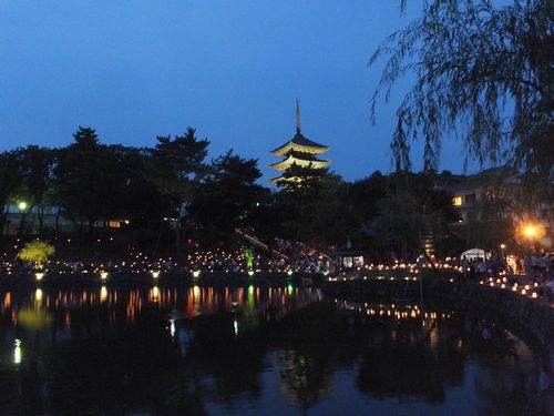 興福寺東金堂夜間拝観と「なら燈花会」_f0120102_15312511.jpg