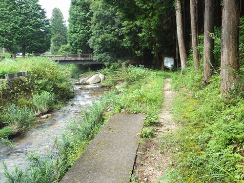 f0120102_8231627.jpg