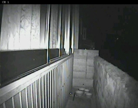 c0165803_23255492.jpg