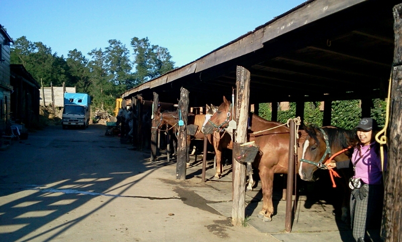 c0212604_17395254.jpg