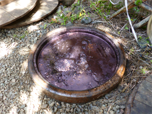 a0158805_249409.png