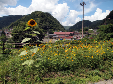 a0203305_7494567.jpg