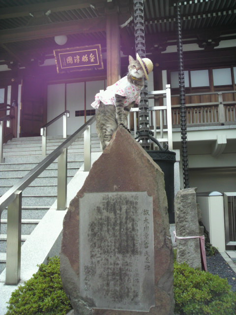 e0031605_14165822.jpg