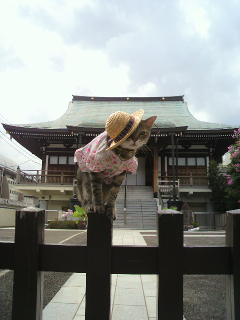 e0031605_14172921.jpg