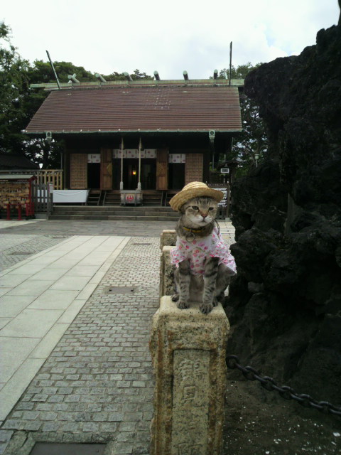 e0031605_14181840.jpg
