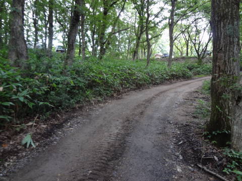f0213805_21465954.jpg