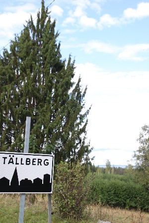  Tällberg(テルベリ)にて_d0008306_2126448.jpg