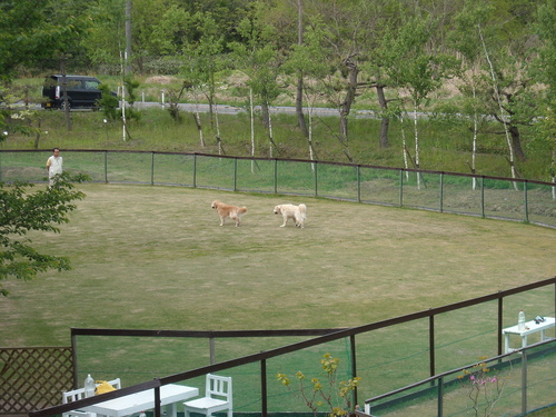 b0190908_1353784.jpg