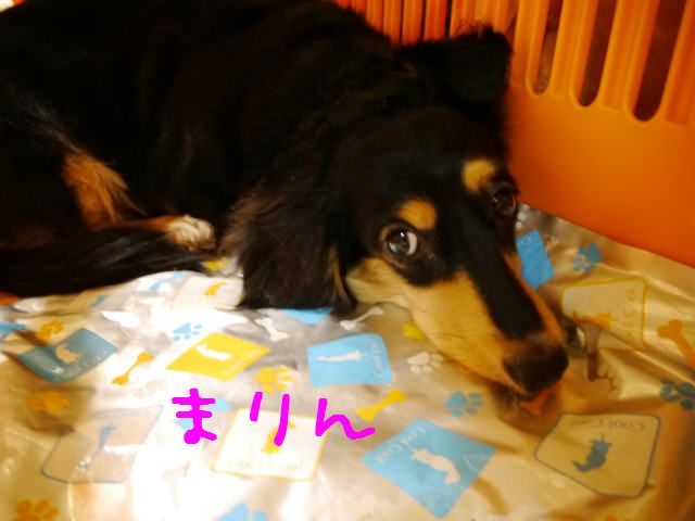 f0218911_2355352.jpg