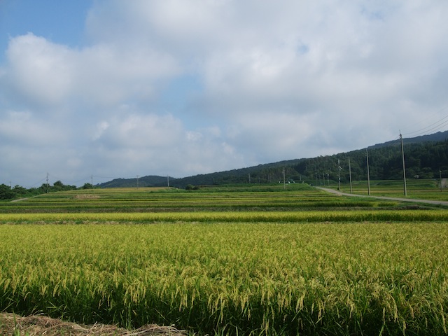 北陸・長野ツアー〜9月ライブ☆ライブ_f0062414_1922510.jpg