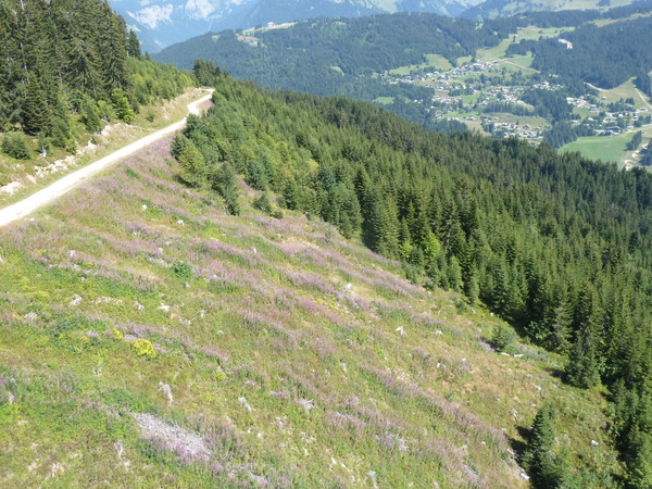 b0208620_0922.jpg