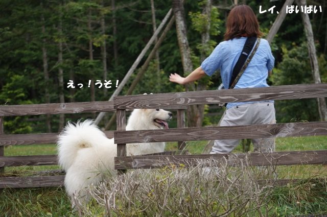 山中湖にチーム・カッパのライバル現る！？_その二_f0234023_16301710.jpg