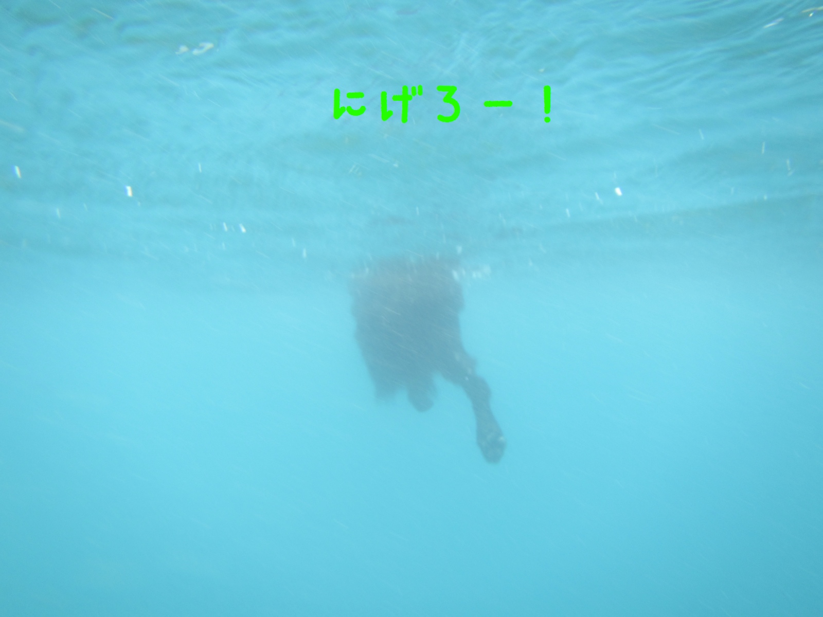 c0237824_14122213.jpg