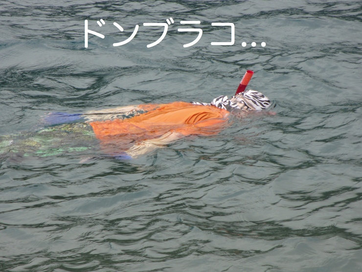 c0237824_1458196.jpg