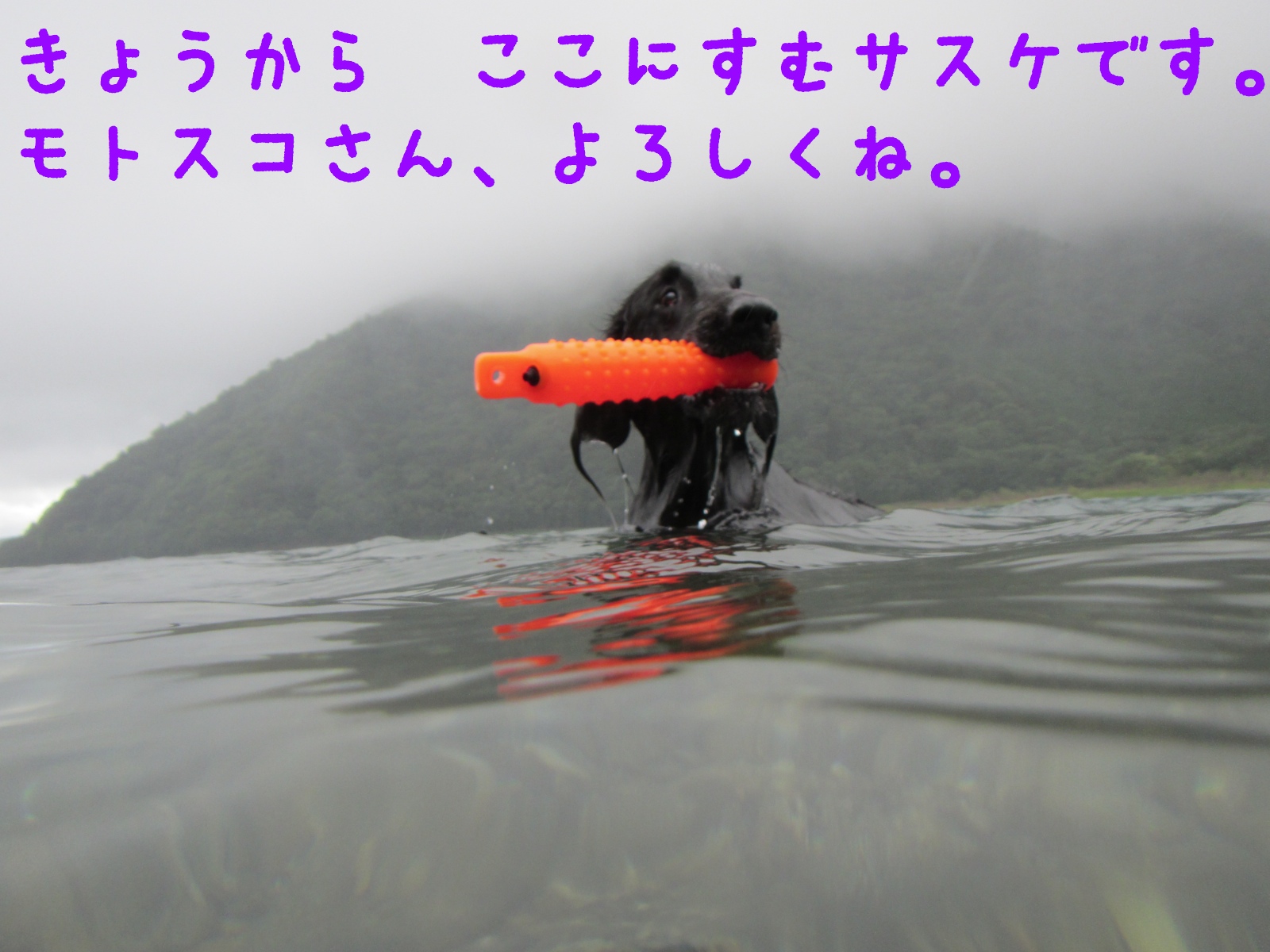 c0237824_1463655.jpg