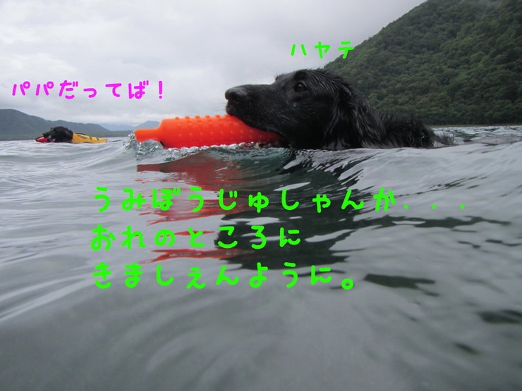 c0237824_1494763.jpg