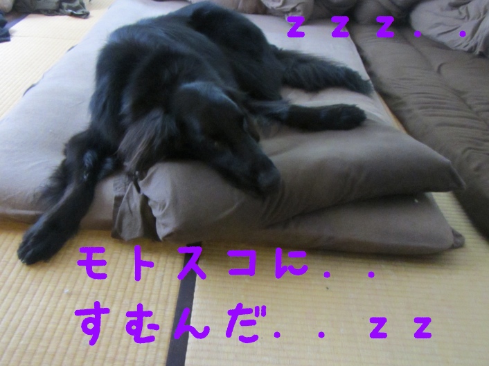 c0237824_22375340.jpg