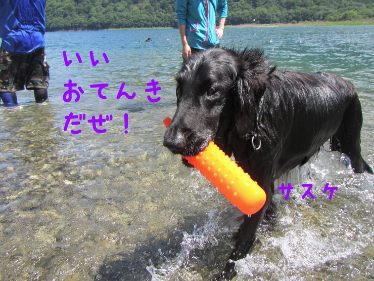 c0237824_23352198.jpg
