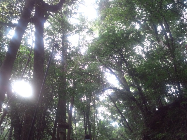 c0173826_1752476.jpg