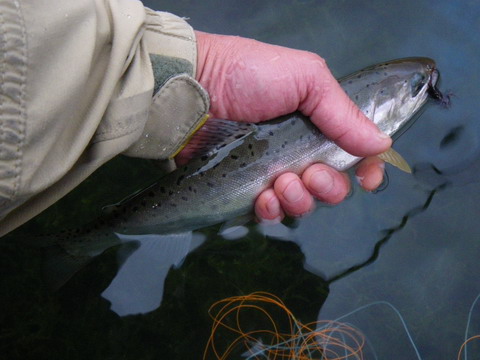 c0202727_2125378.jpg