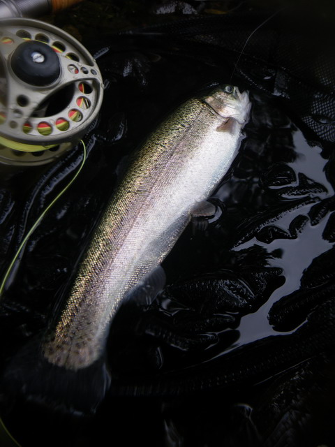 c0202727_21301336.jpg