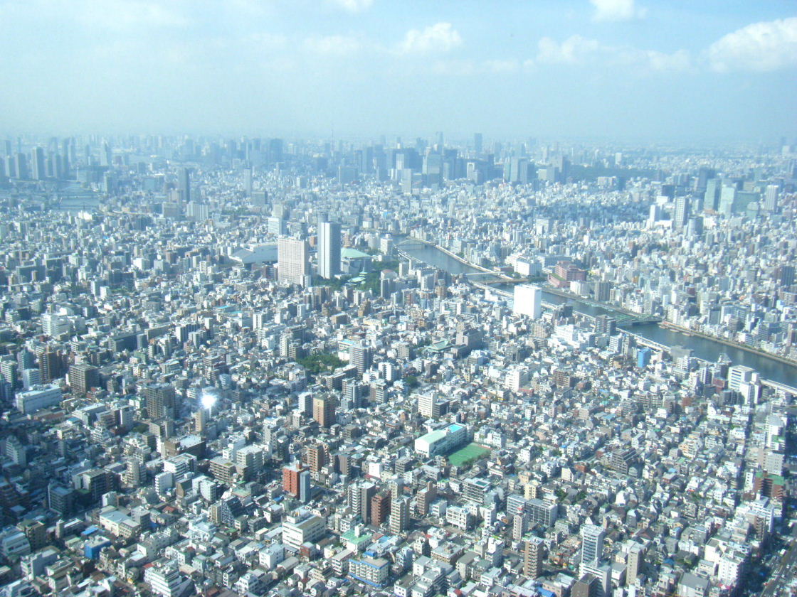a0108328_16433977.jpg