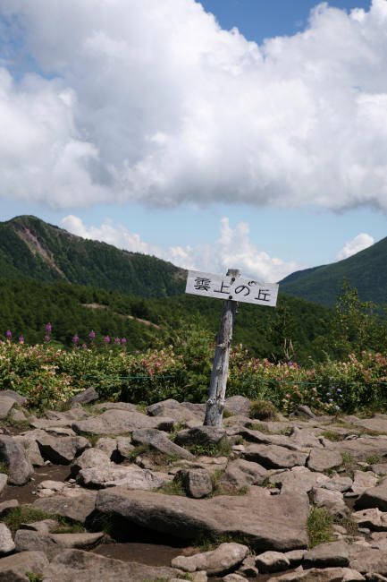 雲上の丘からヤナギランの道を歩く　_f0017530_2154434.jpg