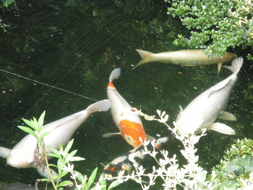 a0242931_156730.jpg