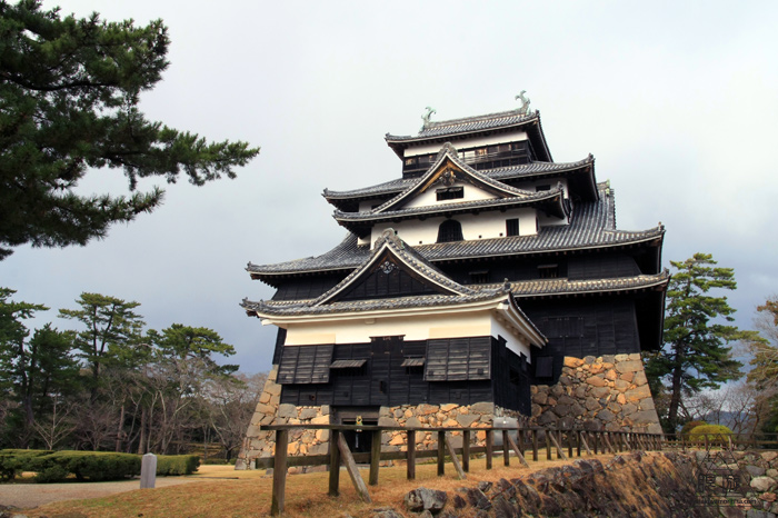 142 松江城 ~城マニアのカナダ人と~_c0211532_22575154.jpg